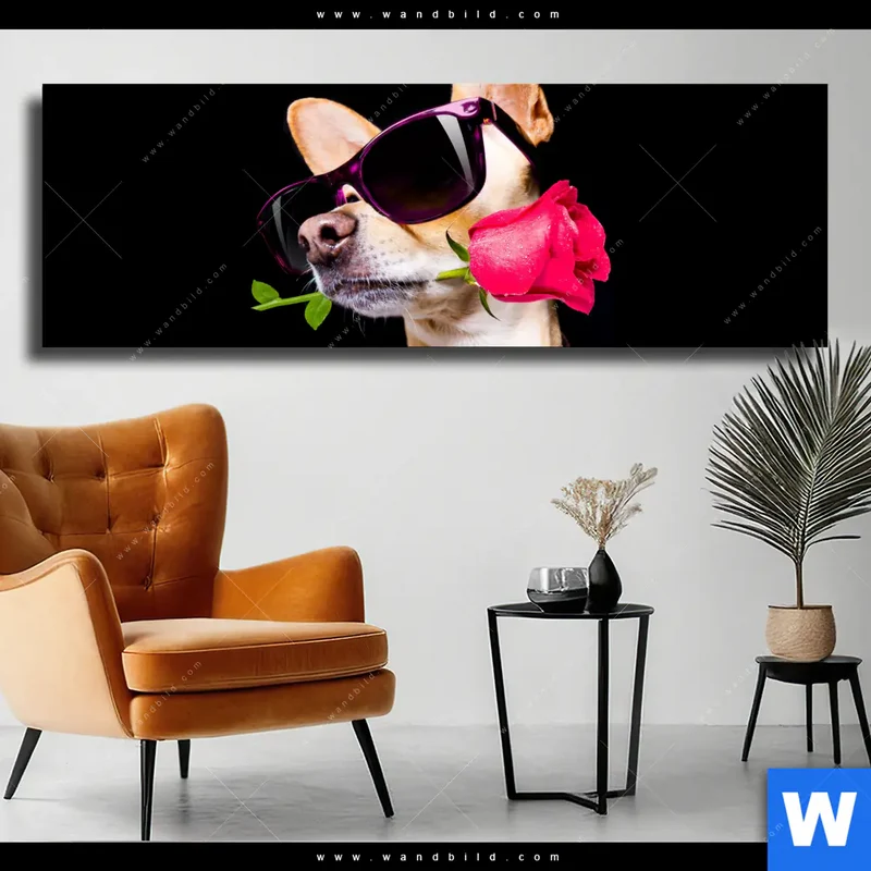 Leinwandbild | Cooler Hund mit roter Rose | Panorama