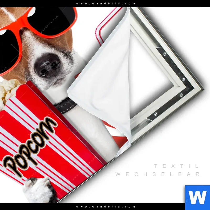 Spannbild | Kinoabend mit Terrier | Quadrat