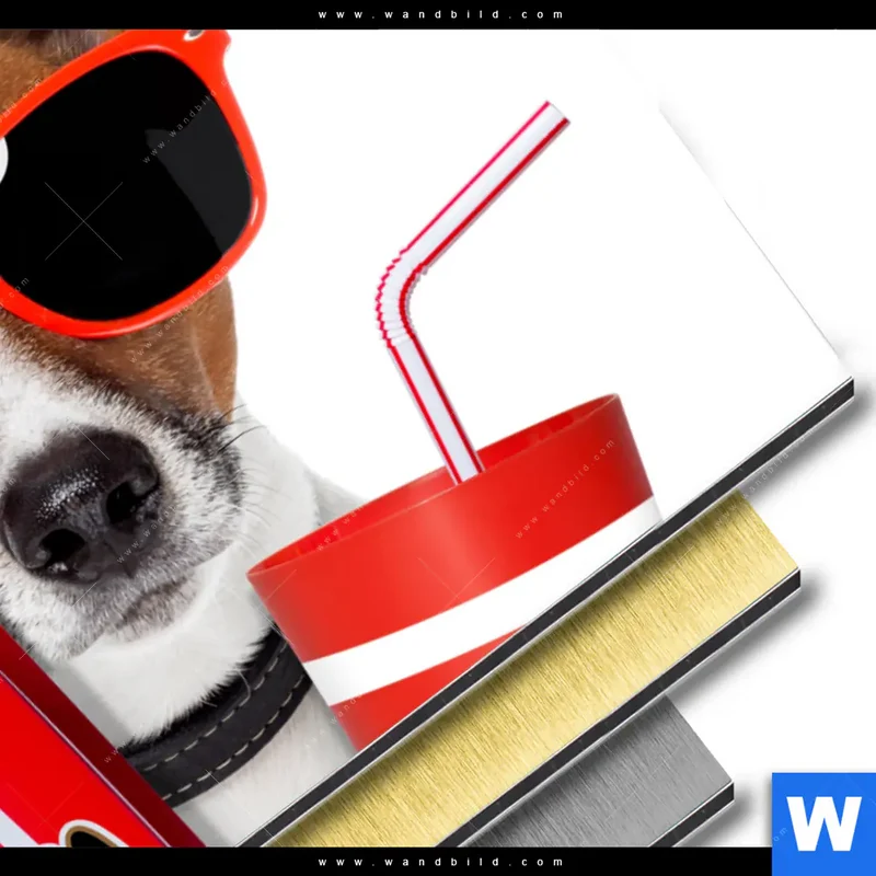 Aluminiumbild gebürstet | Kinoabend mit Terrier | Querformat