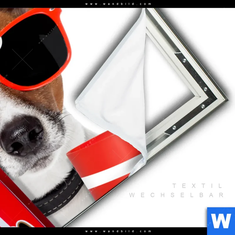 Spannbild | Kinoabend mit Terrier | Querformat