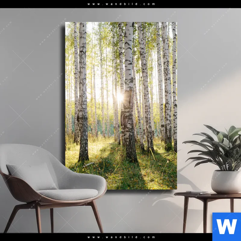 Leinwandbild | Sonnenlicht im Birkenwald | Hochformat