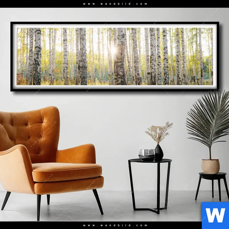 Poster | Sonnenlicht im Birkenwald | Panorama