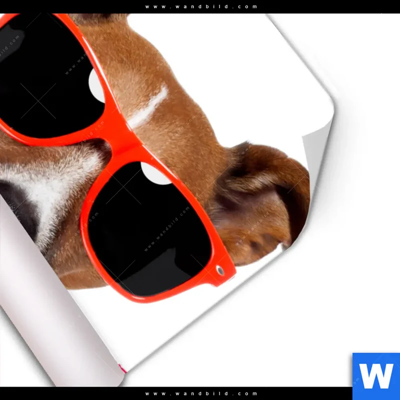 Poster | Kinoabend mit Terrier | Hochformat