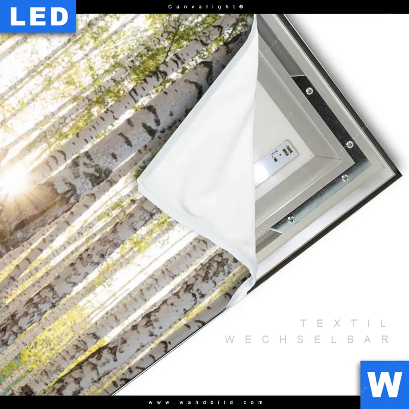 Canvalight® Leuchtbild | Sonnenlicht im Birkenwald | Hochformat