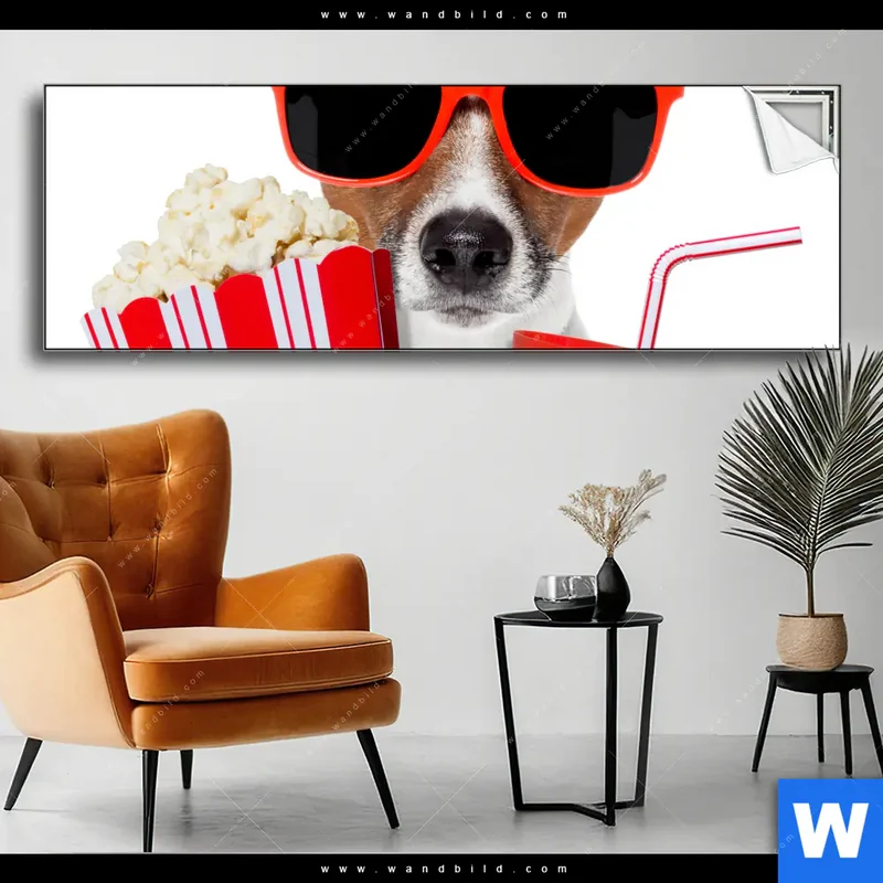 Spannbild | Kinoabend mit Terrier | Panorama