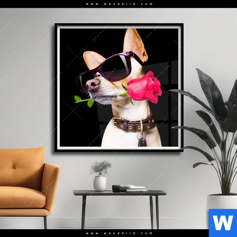 Poster | Cooler Hund mit roter Rose | Quadrat