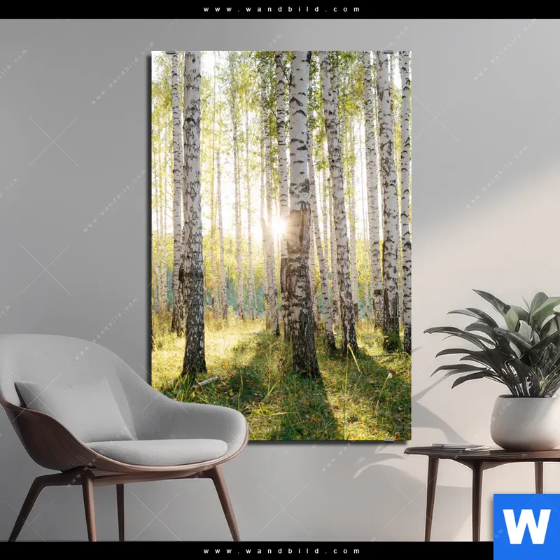 Alu-Dibond Bild | Sonnenlicht im Birkenwald | Hochformat