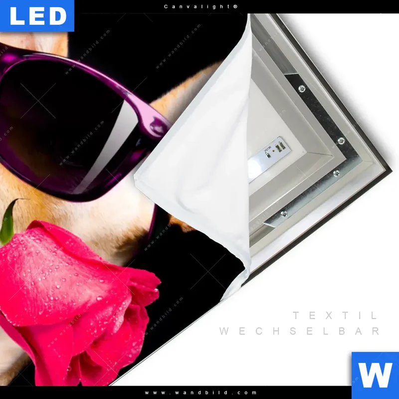 Canvalight® Leuchtbild | Cooler Hund mit roter Rose | Hochformat