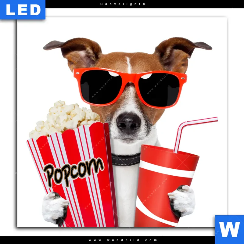 Canvalight® Leuchtbild | Kinoabend mit Terrier | Quadrat