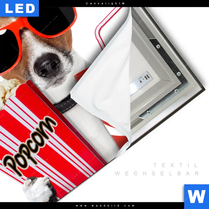 Canvalight® Leuchtbild | Kinoabend mit Terrier | Quadrat