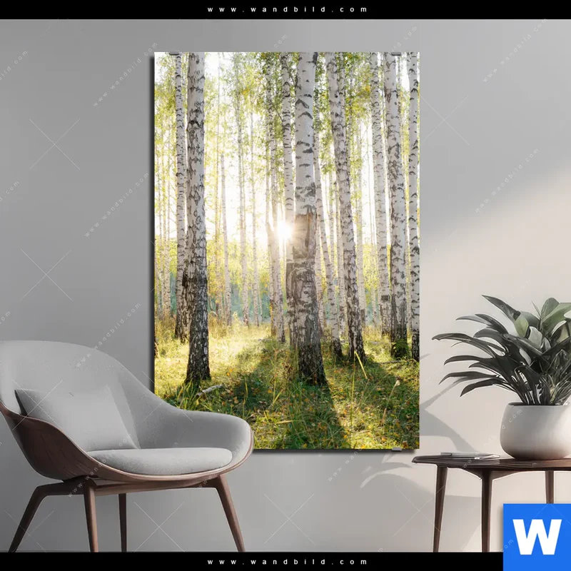 Acrylglasbild | Sonnenlicht im Birkenwald | Hochformat