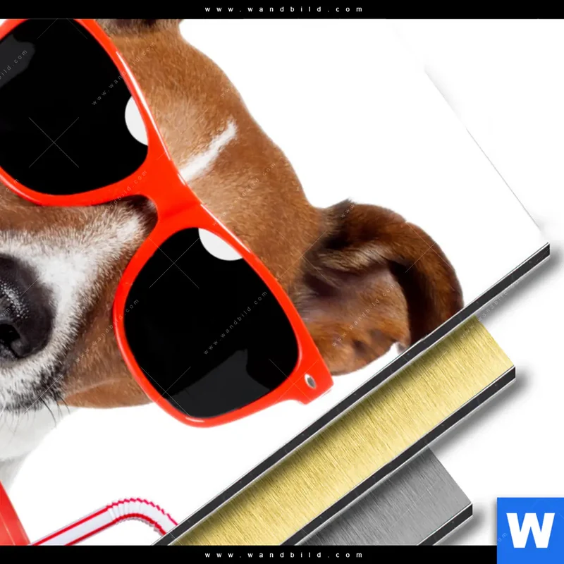 Aluminiumbild gebürstet | Kinoabend mit Terrier | Hochformat