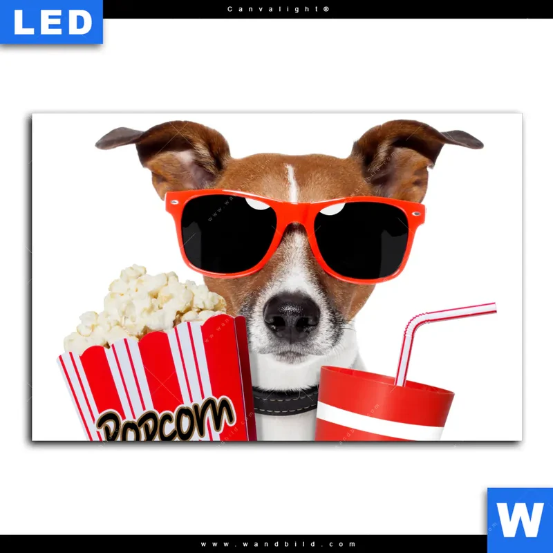 Canvalight® Leuchtbild | Kinoabend mit Terrier | Querformat