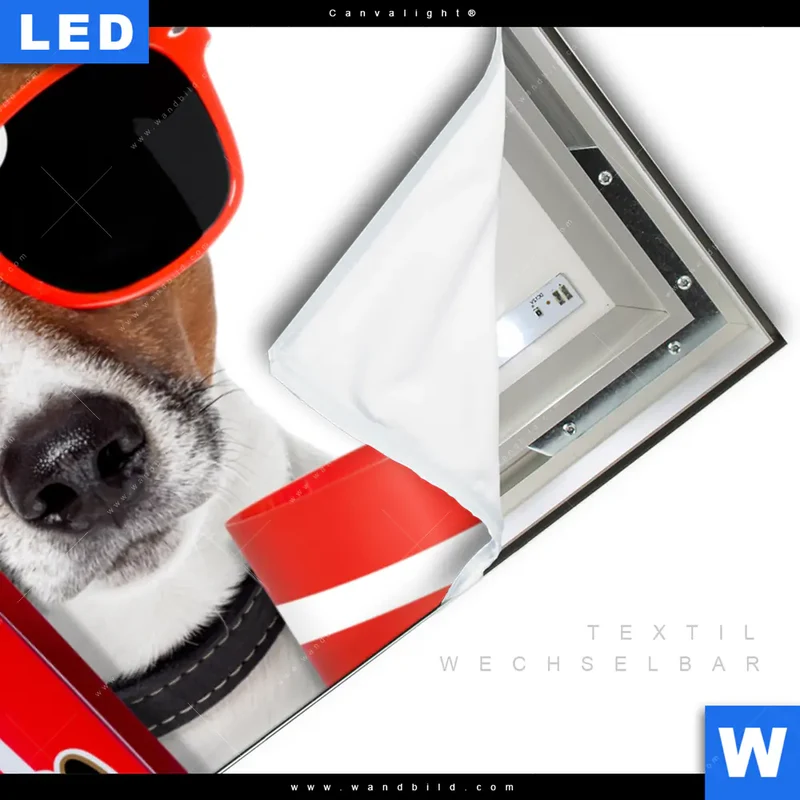 Canvalight® Leuchtbild | Kinoabend mit Terrier | Querformat
