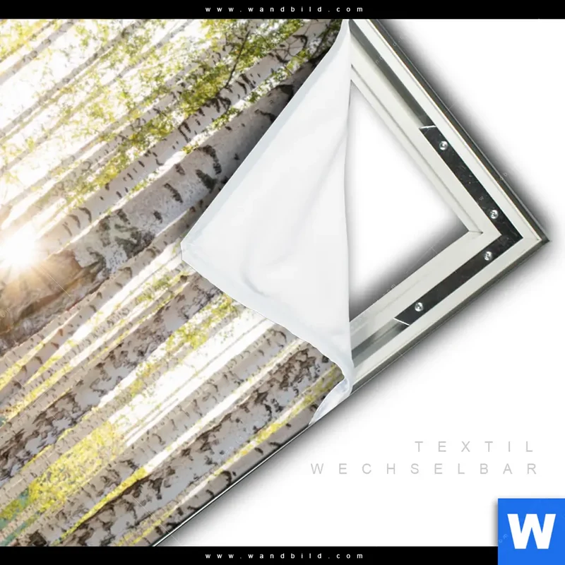 Spannbild | Sonnenlicht im Birkenwald | Hochformat