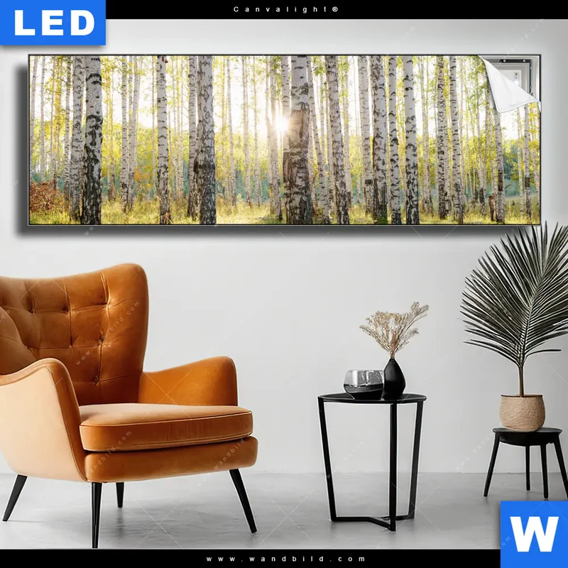 Canvalight® Leuchtbild | Sonnenlicht im Birkenwald | Panorama