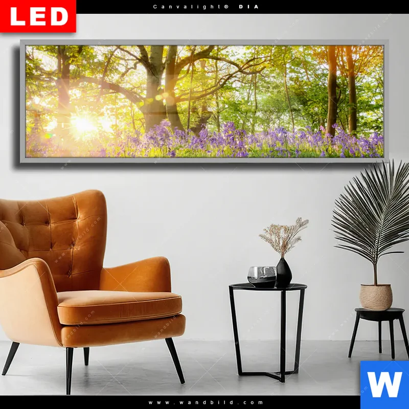 Wechselmotiv Acrylglas Canvalight® DIA | Frühlingserwachen zwischen Bäumen | Panorama