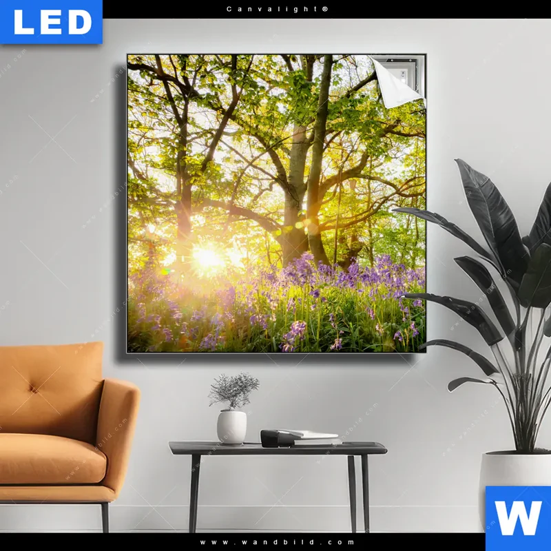 Canvalight® Leuchtbild | Frühlingserwachen zwischen Bäumen | Quadrat