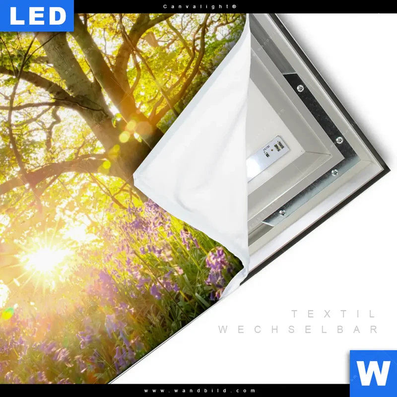 Canvalight® Leuchtbild | Frühlingserwachen zwischen Bäumen | Quadrat