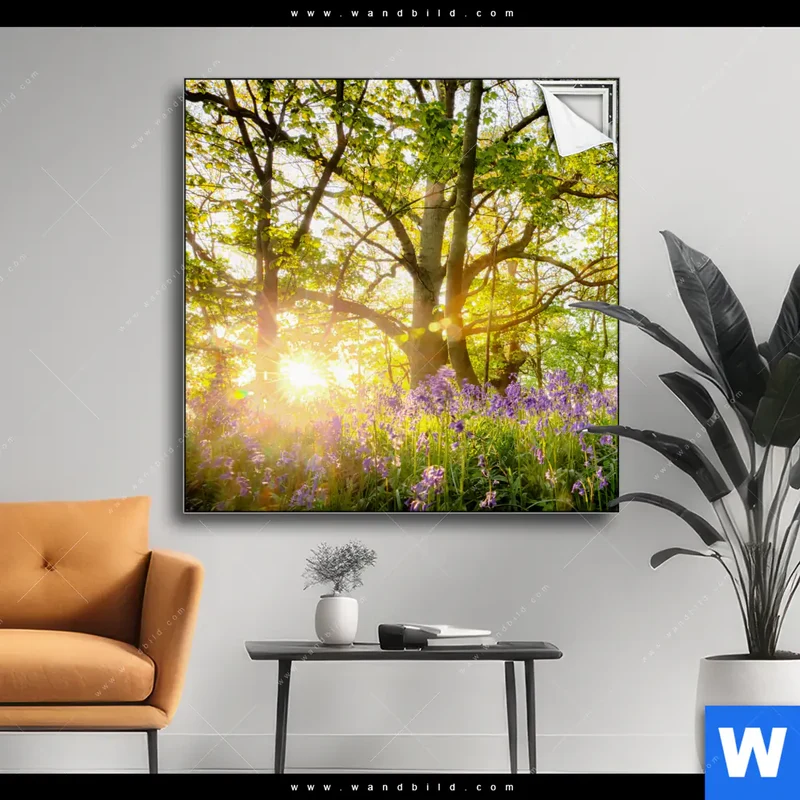 Spannbild | Frühlingserwachen zwischen Bäumen | Quadrat