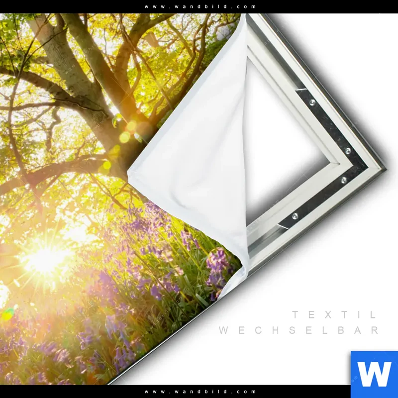 Spannbild | Frühlingserwachen zwischen Bäumen | Quadrat