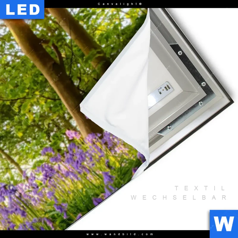Canvalight® Leuchtbild | Frühlingserwachen zwischen Bäumen | Panorama