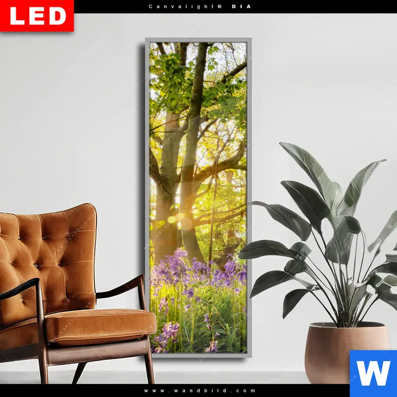 Wechselmotiv Acrylglas Canvalight® DIA | Frühlingserwachen zwischen Bäumen | Schmal