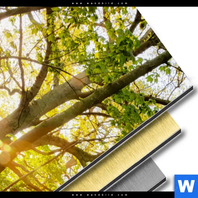 Aluminiumbild gebürstet | Frühlingserwachen zwischen Bäumen | Hochformat
