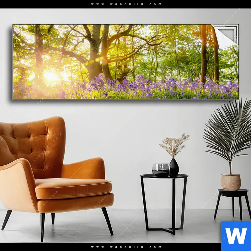 Spannbild | Frühlingserwachen zwischen Bäumen | Panorama