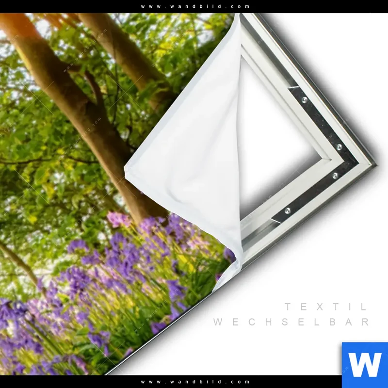 Spannbild | Frühlingserwachen zwischen Bäumen | Panorama