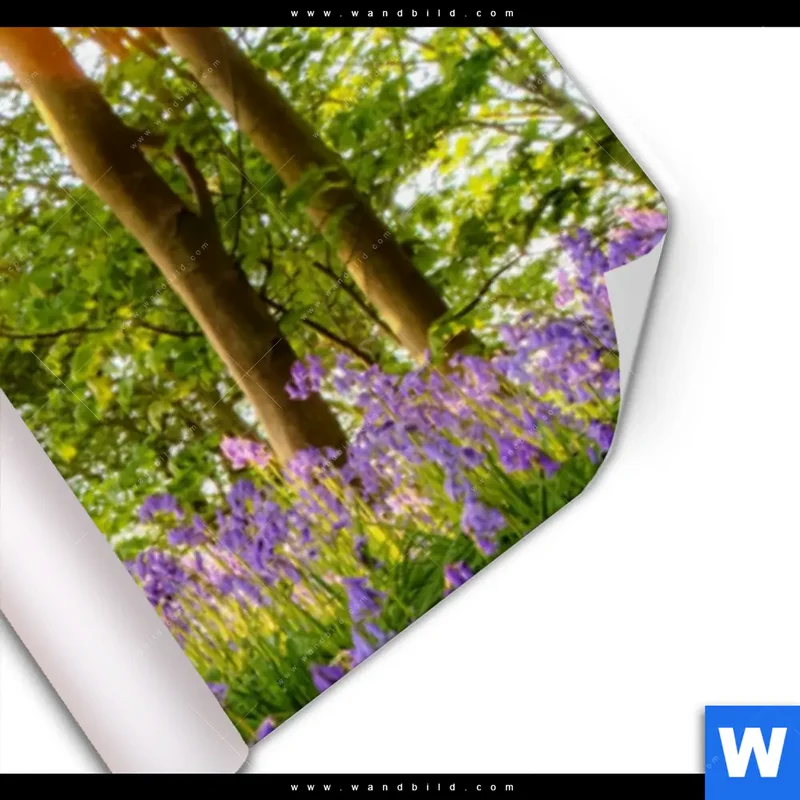 Poster | Frühlingserwachen zwischen Bäumen | Panorama