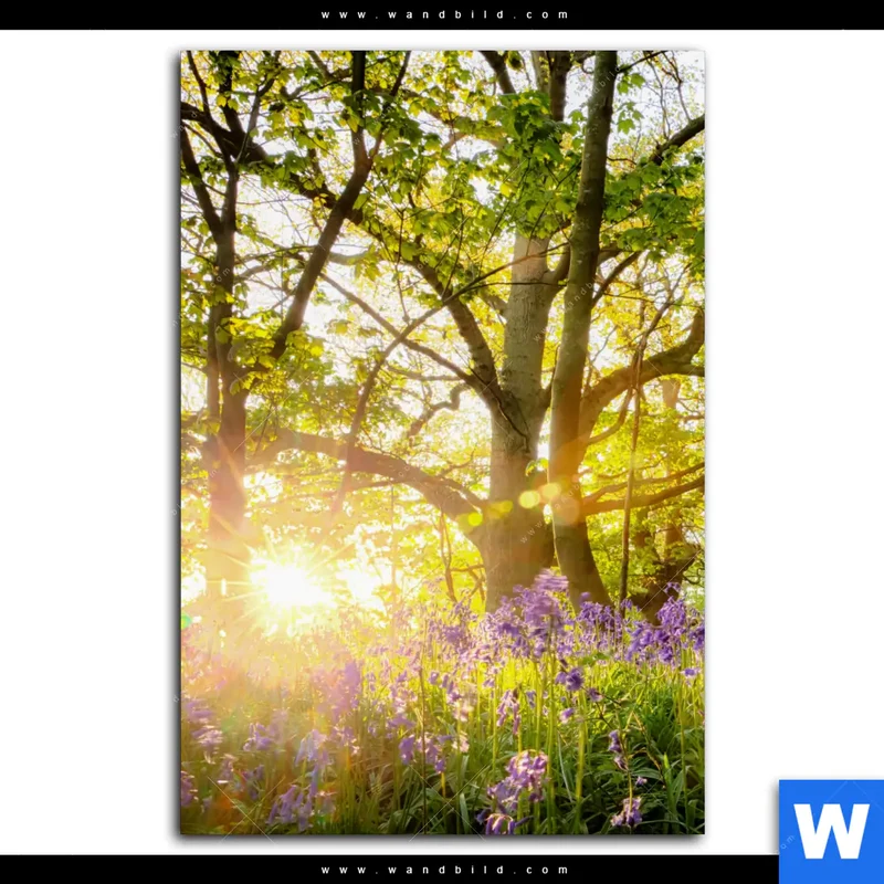 Alu-Dibond Bild | Frühlingserwachen zwischen Bäumen | Hochformat