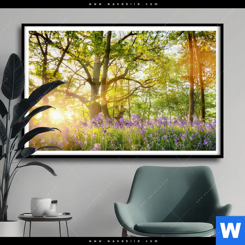 Poster | Frühlingserwachen zwischen Bäumen | Querformat