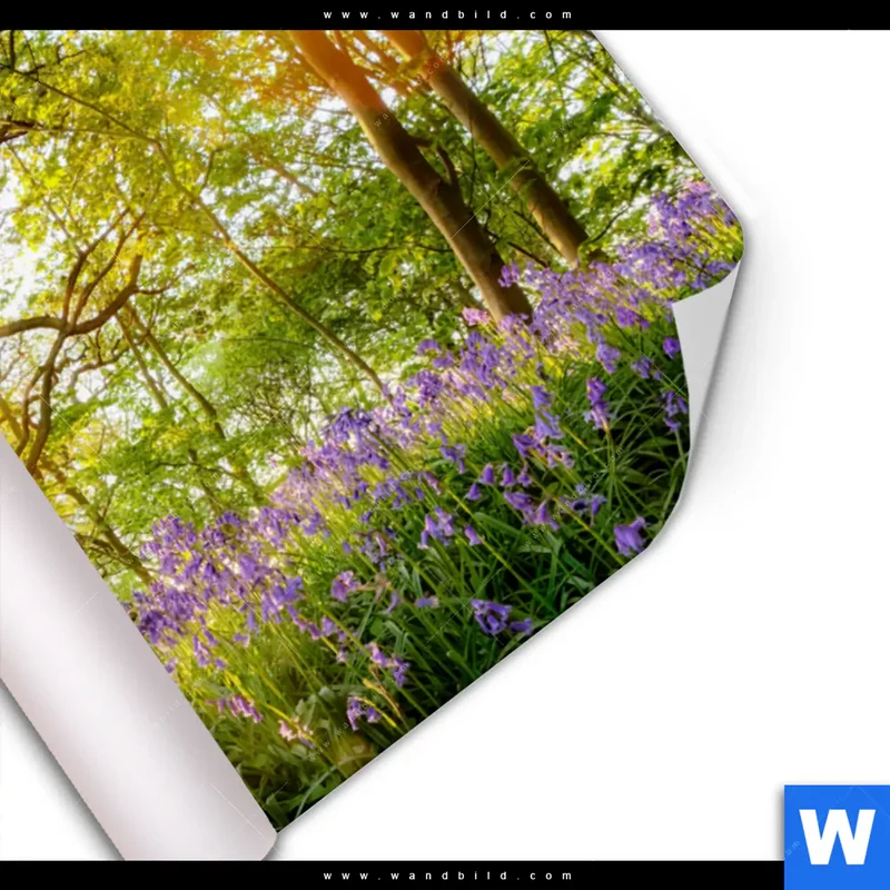 Poster | Frühlingserwachen zwischen Bäumen | Querformat