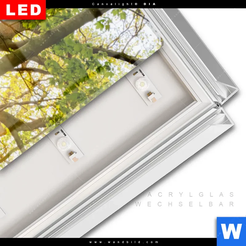 Leuchtbild Acrylglas Canvalight® DIA | Frühlingserwachen zwischen Bäumen | Schmal