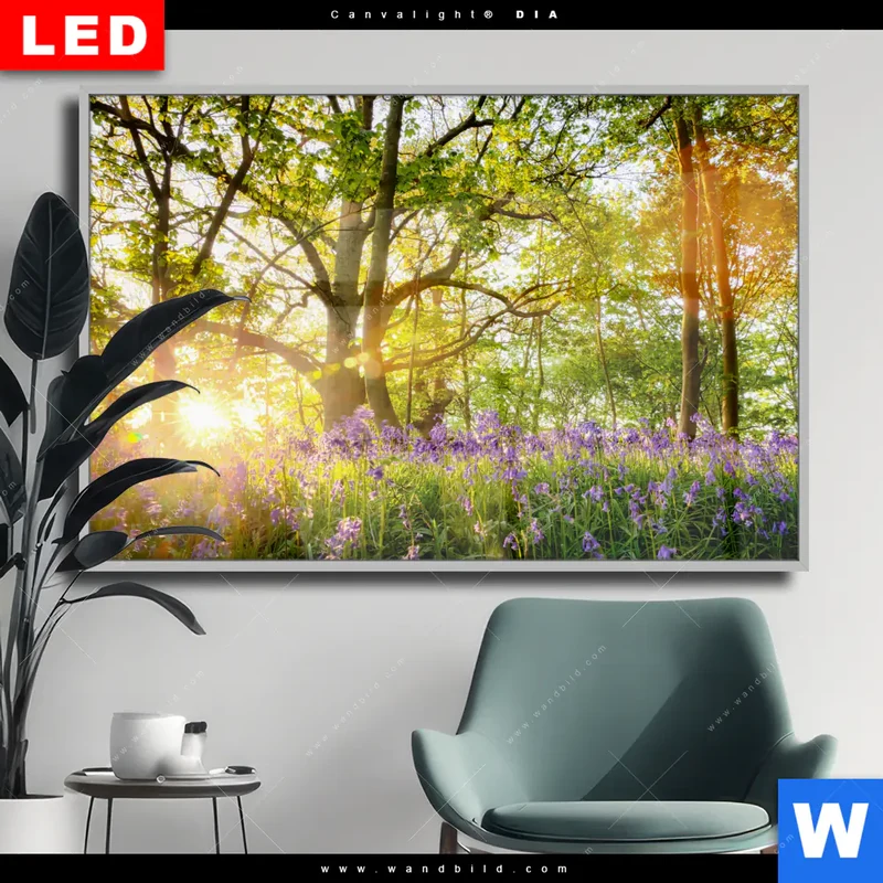 Wechselmotiv Acrylglas Canvalight® DIA | Frühlingserwachen zwischen Bäumen | Querformat