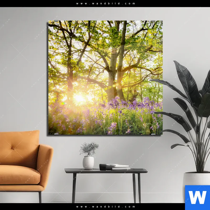 Acrylglasbild | Frühlingserwachen zwischen Bäumen | Quadrat