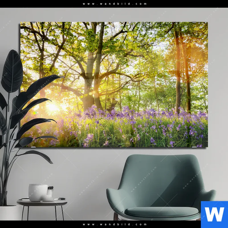 Acrylglasbild | Frühlingserwachen zwischen Bäumen | Querformat