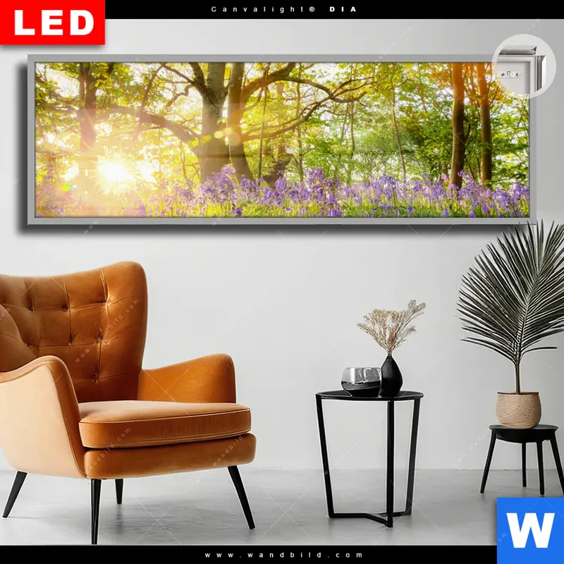 Leuchtbild Acrylglas Canvalight® DIA | Frühlingserwachen zwischen Bäumen | Panorama