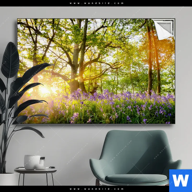 Spannbild | Frühlingserwachen zwischen Bäumen | Querformat
