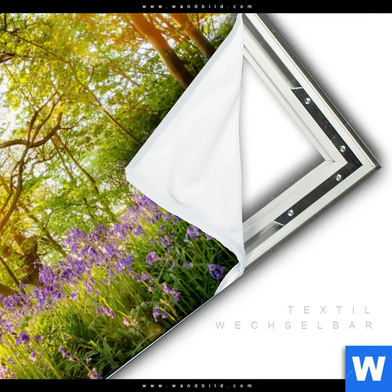 Spannbild | Frühlingserwachen zwischen Bäumen | Querformat