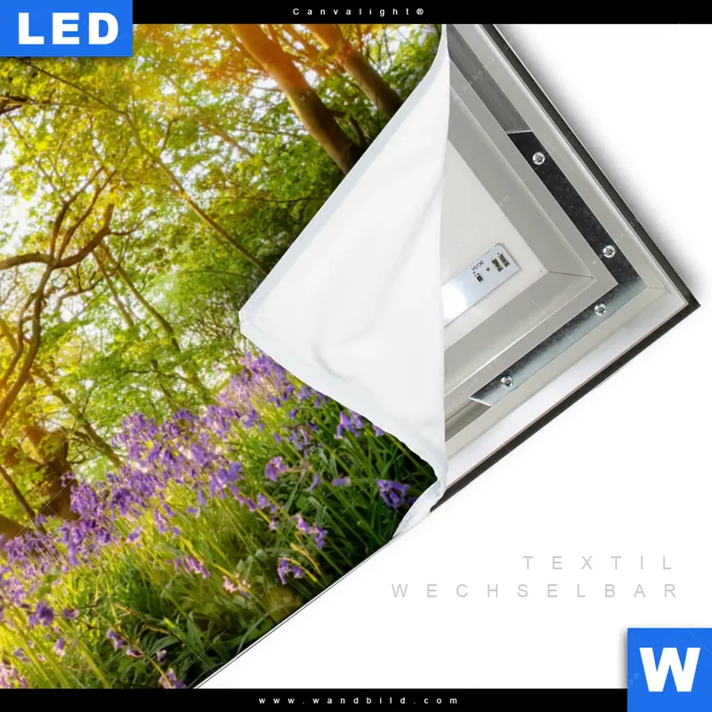 Canvalight® Leuchtbild | Frühlingserwachen zwischen Bäumen | Querformat