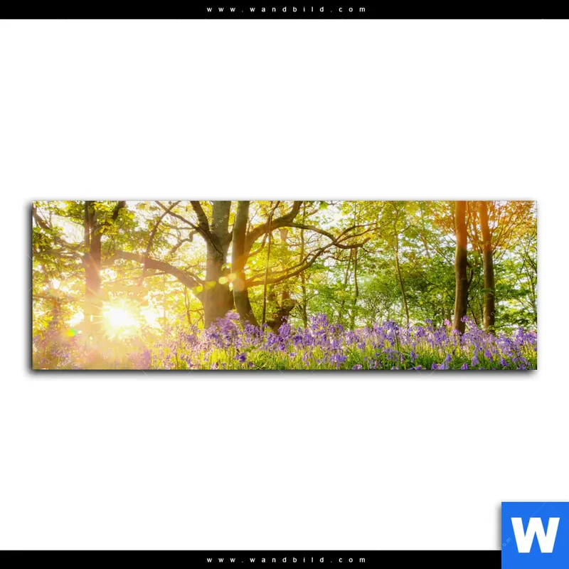 Leinwandbild | Frühlingserwachen zwischen Bäumen | Panorama