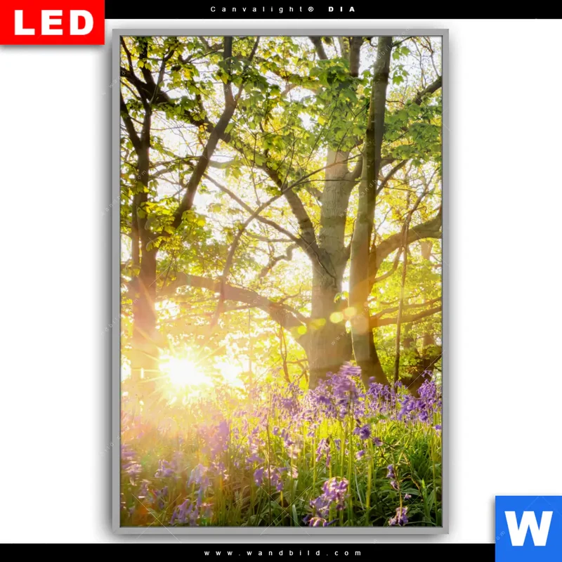 Leuchtbild Acrylglas Canvalight® DIA | Frühlingserwachen zwischen Bäumen | Hochformat