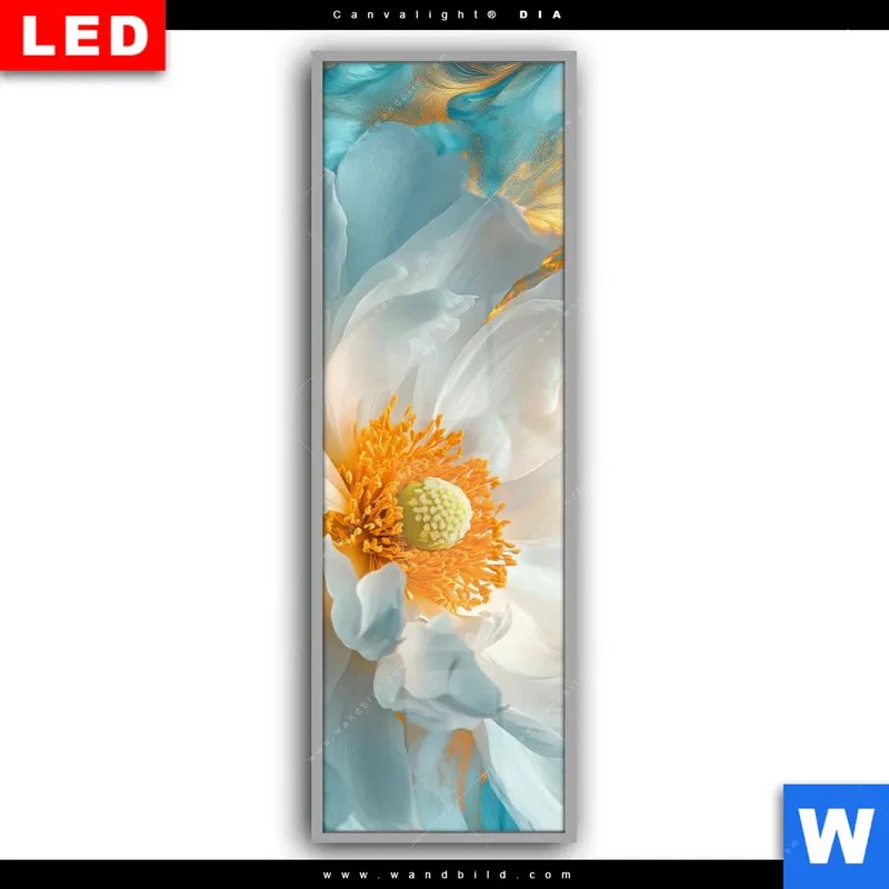Leuchtbild Acrylglas Canvalight® DIA | Blüte im goldenen Licht | Schmal