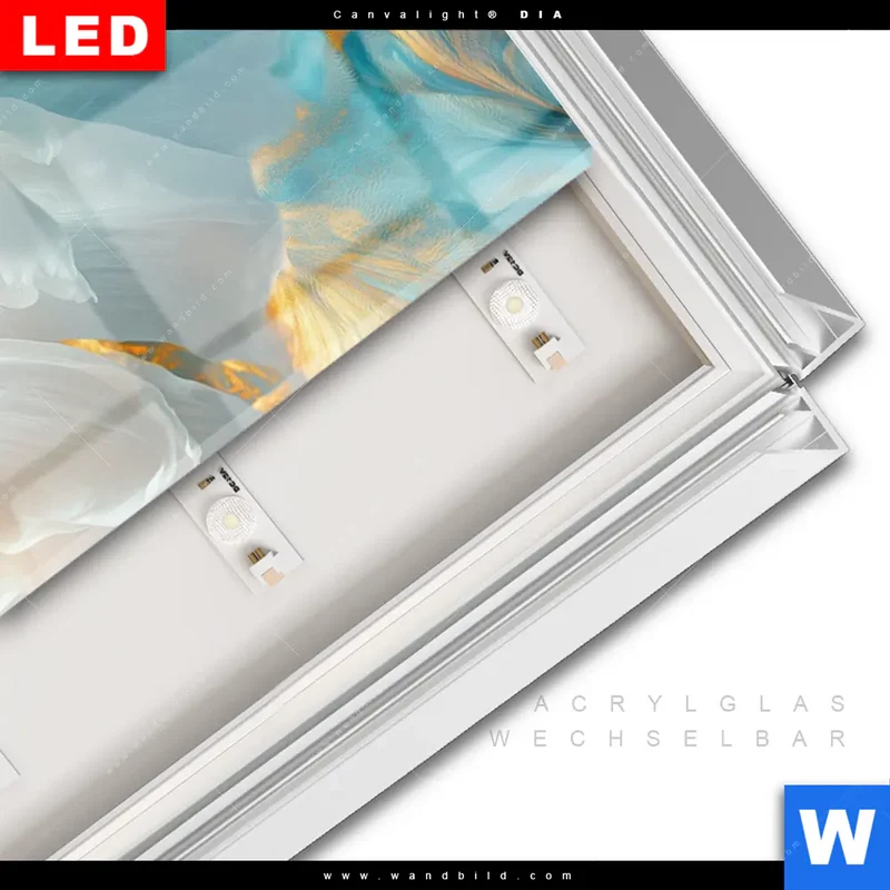 Leuchtbild Acrylglas Canvalight® DIA | Blüte im goldenen Licht | Schmal
