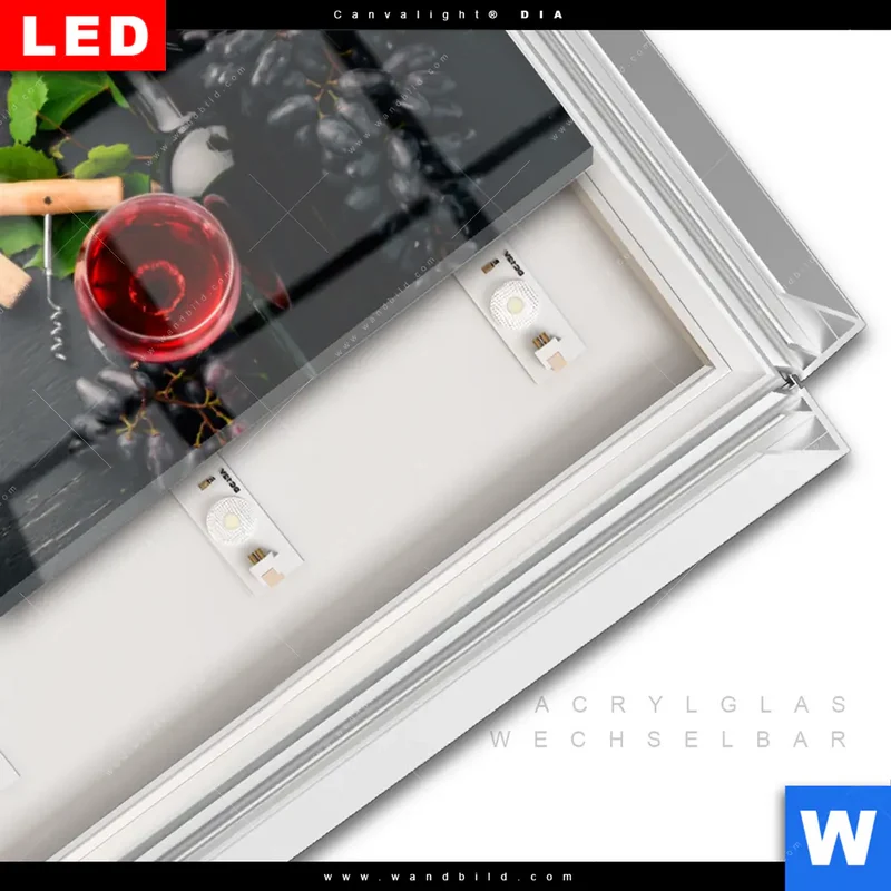 Leuchtbild Acrylglas Canvalight® DIA | Trauben | Wein | Tradition | Panorama