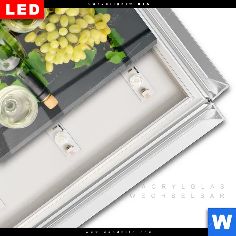 Leuchtbild Acrylglas Canvalight® DIA | Trauben | Wein | Tradition | Schmal