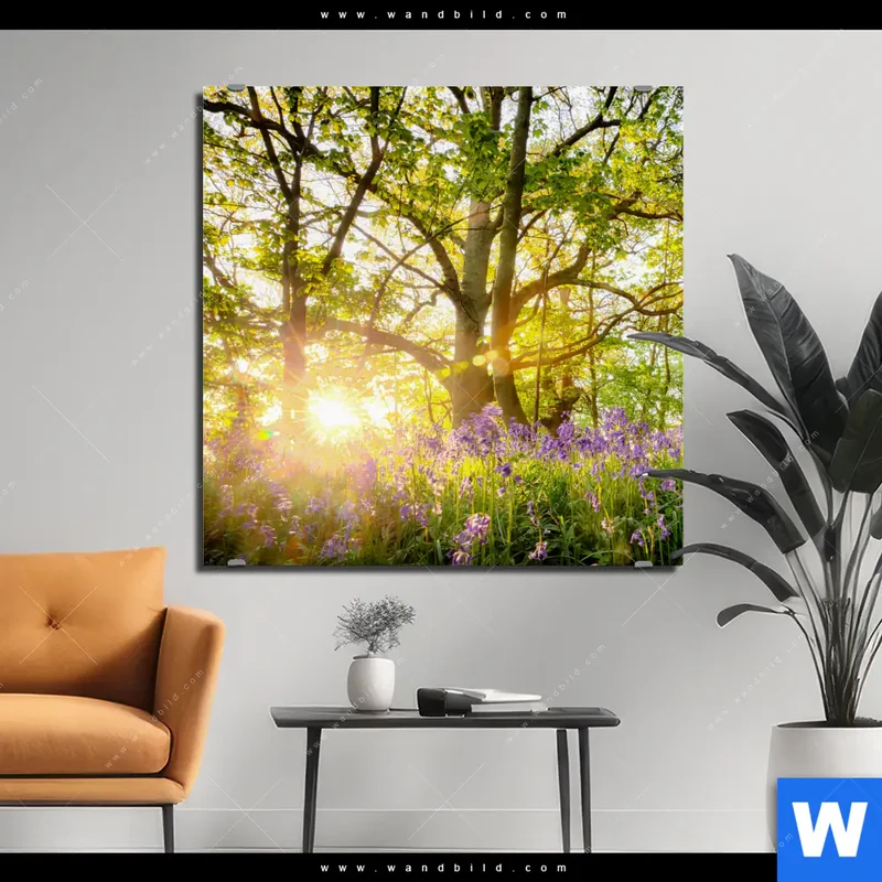 Alu-Dibond Bild | Frühlingserwachen zwischen Bäumen | Quadrat