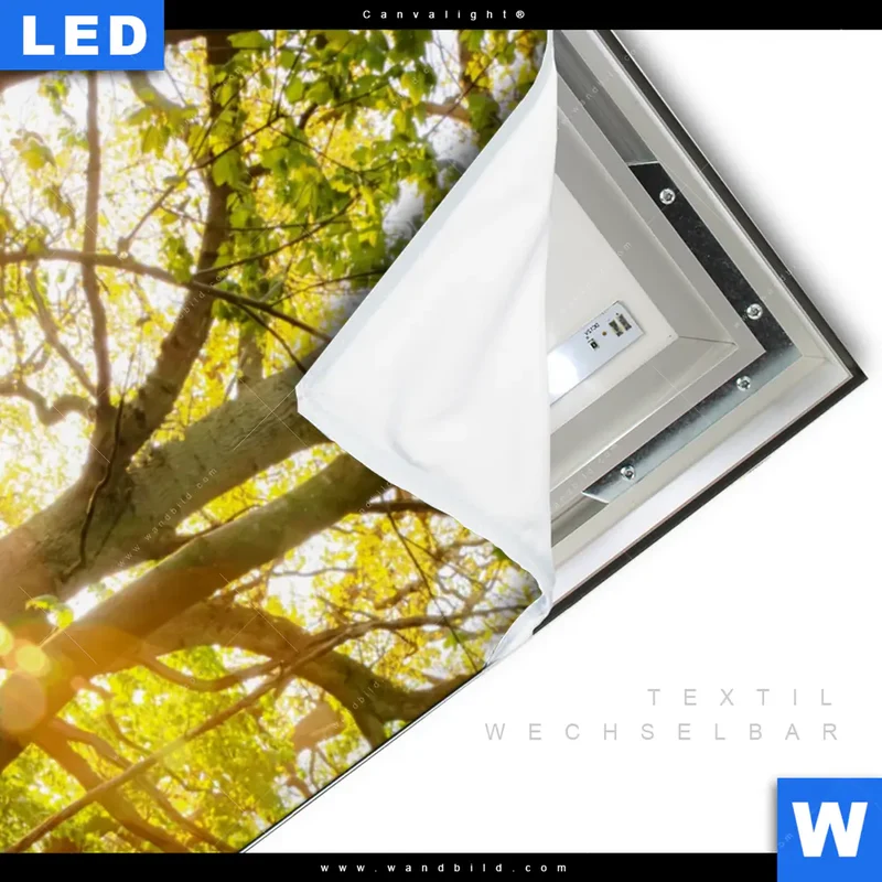 Canvalight® Leuchtbild | Frühlingserwachen zwischen Bäumen | Hochformat